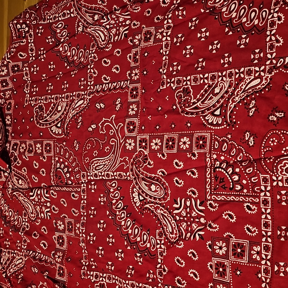 Desert Jems - Women's Red bandana Dress Paisley Print -Size M (10-12) - Picture 7 of 7
